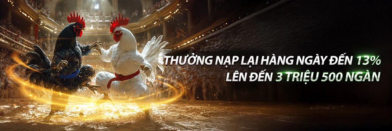 Cá cược thể thao tại ev99 apk với không khí sân vận động sôi động