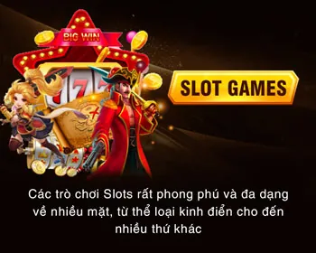 Đa dạng các loại súng và cá